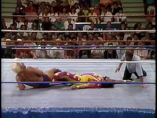 Ric Flair wins WWF Title   Celebration