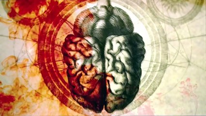 Patria - Symmetry Of Imperfection (Official Lyric Video)