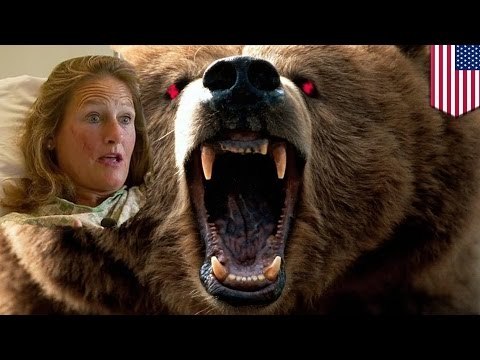 Bear Attack: Alaskan hiker survives mauling, limps a mile to her truck then drives herself into town