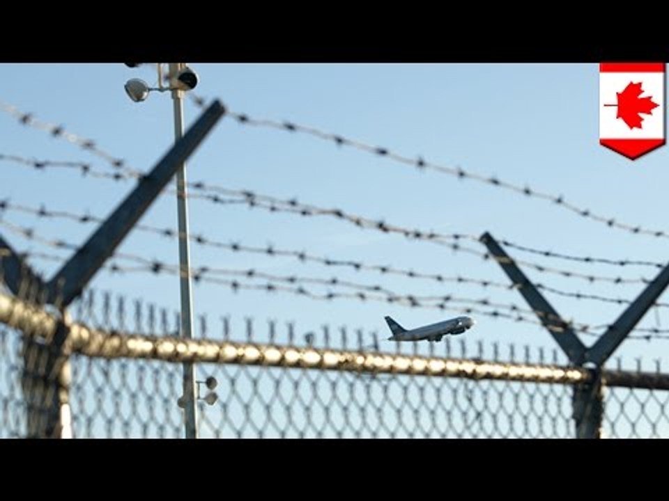 Canadian airport security breach: Nova Scotia woman climbs barbed wire fence onto tarmac