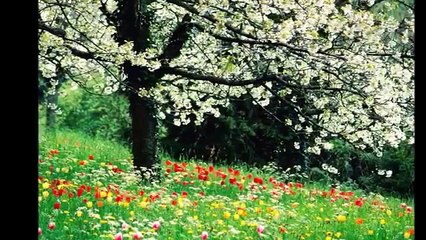 مونامور الأصلية موسيقى رومانسية HD Romantic Music Guitar Monamour