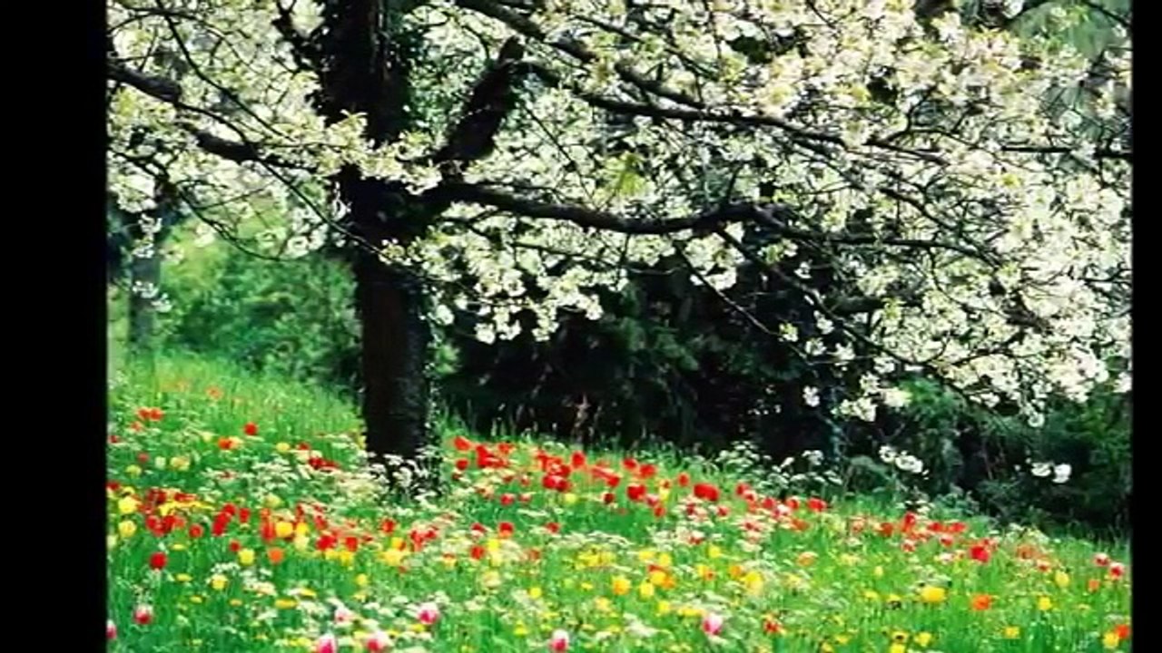 مونامور الأصلية موسيقى رومانسية HD Romantic Music Guitar Monamour