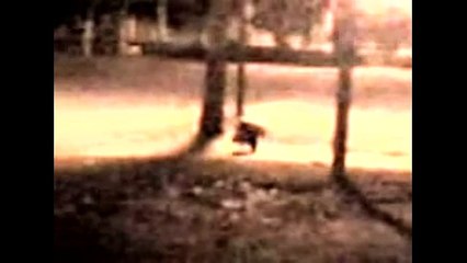 Leprechaun sighting?