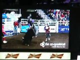 Rodeo Bull Jumps Into Crowd At Rexall Place In Edmonton Alberta.MOV