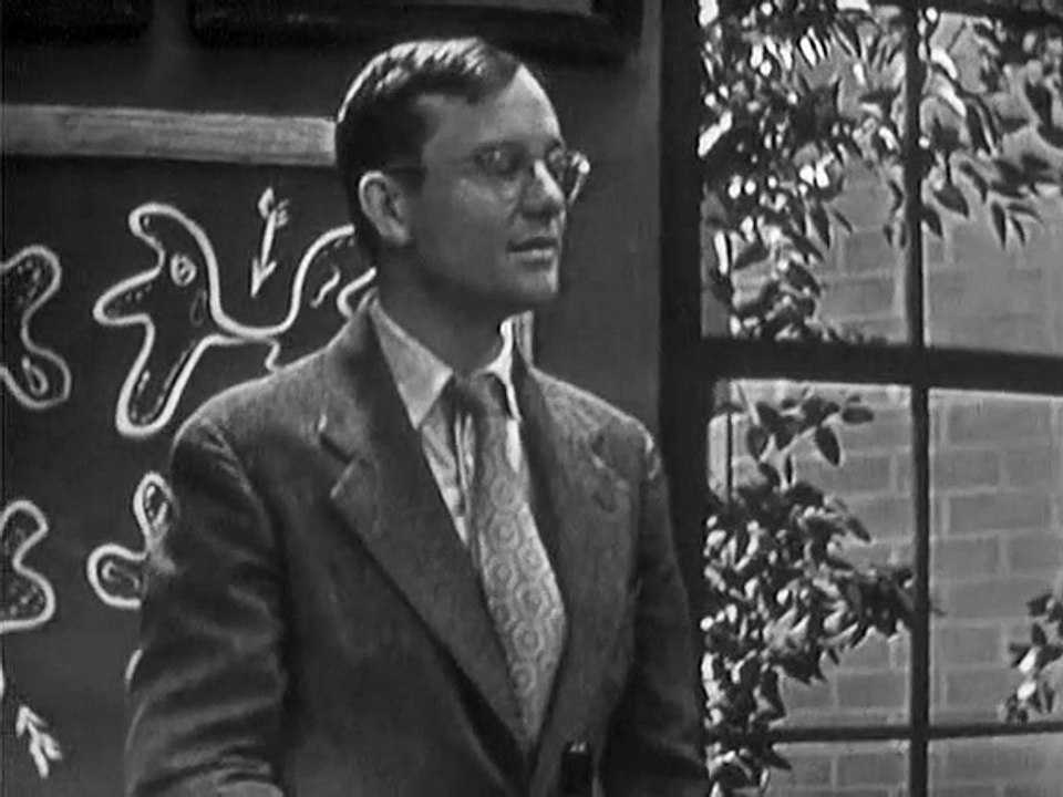 Mister Peepers: Teen-Age Crush