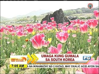 Amy, Jessy tour Korea's Chungcheongbuk-do