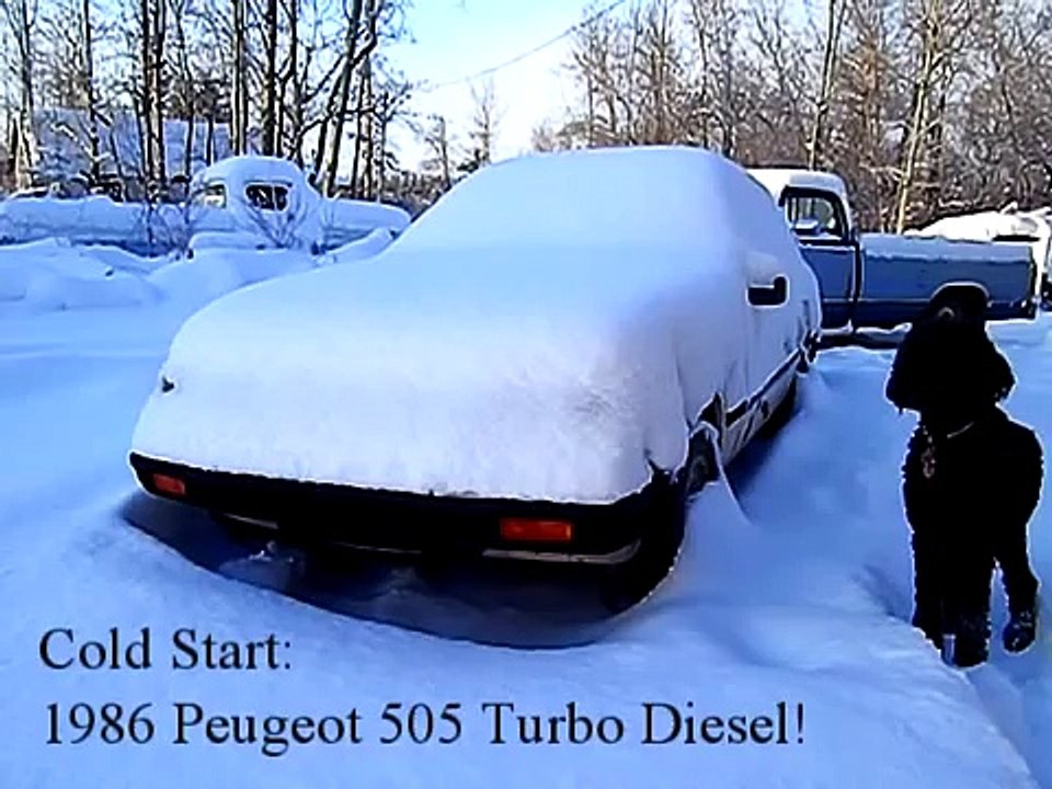 Cold Start the 1986 Peugeot 505 TD! Brrrr...