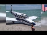 Florida plane crash: Piper Cherokee makes emergency landing on Caspersen Beach in Venice