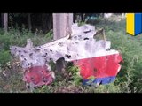 MH17 animation: Puncture holes evidence Malaysian jet was shot down by a fragmentation missile