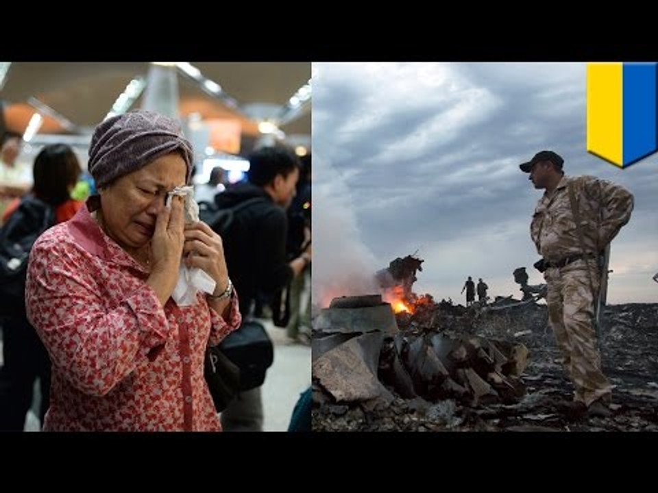 MH17 crash: large debris field suggests missile attack brought down Malaysia Airlines over Ukraine