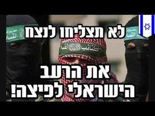 Hamas hack Domino's Pizza Facebook page causing TMNT memes to run amok on the interwebs