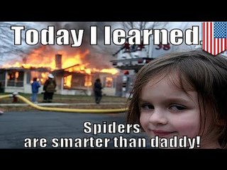Seattle man burns half his house down trying to get rid of spiders with a spray paint blowtorch