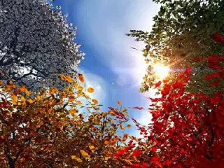 سوره الرحمن عروس القران بصوت العجمي