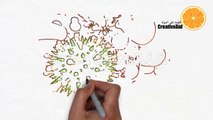 حصريا: فيروس كورونا العدوى الاعراض والوقاية