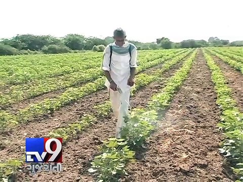 Gujarat government's '50-50 Formula' to bring cheer to farmers - Tv9 Gujarati