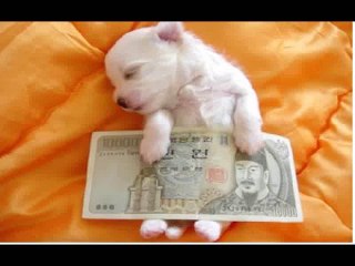 최강N부산강서일수 O10ㅡ4639ㅡ26ㄱ7 부산강서구방일수 &월변 개인 사업자 재직자 무직자