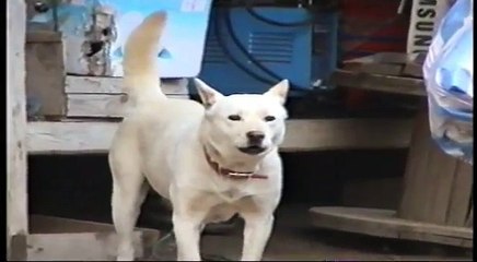 해결기회 부산영도구일수 01O~6469~8957 부산영도구방일수 (전화24시 월변 신불자 무직자 업소여성 개인)