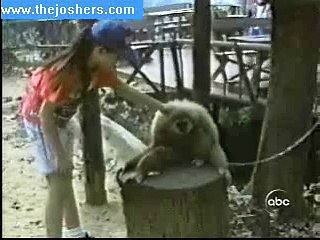 Itchy Monkey Says Don't Stop