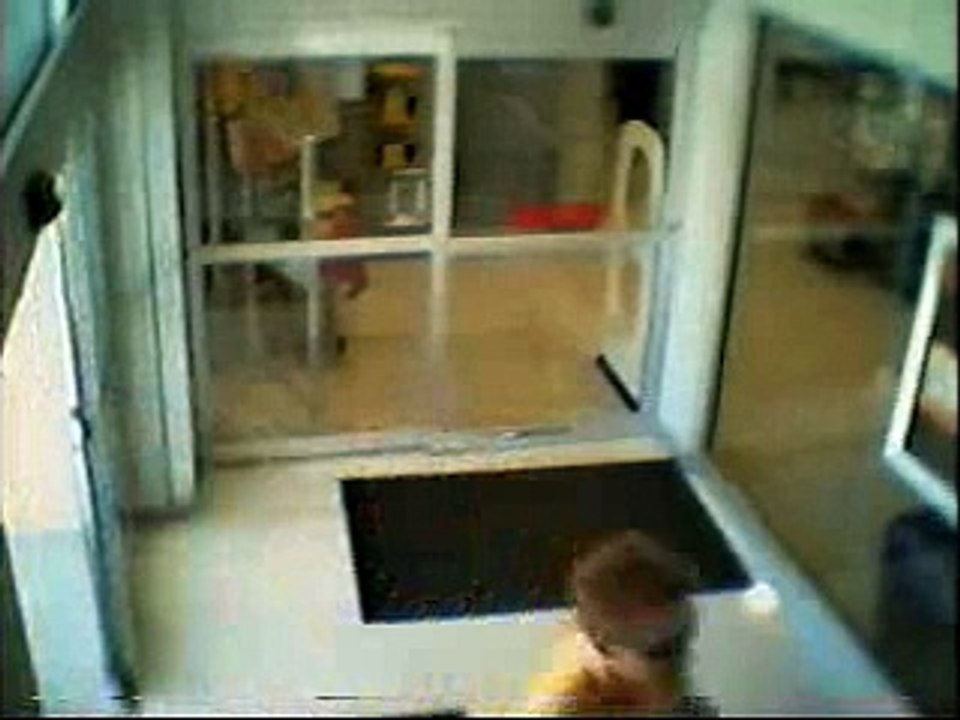 Automatic door