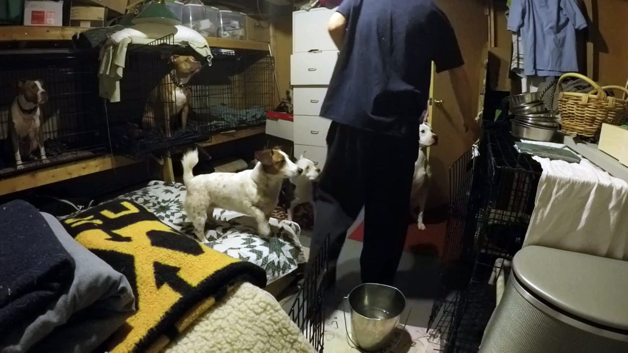 Feeding Time