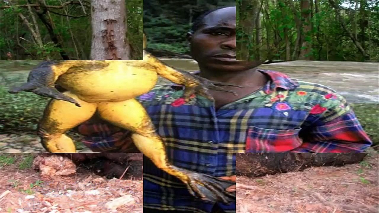 21 De Los Animales Más Grandes De Su Especie