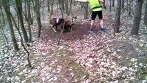 Trapped Mouflon (wild sheep) Rescued By Jogger