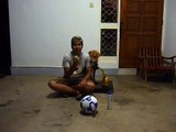 (Dog Tricks) - Training Gabriel how to find object