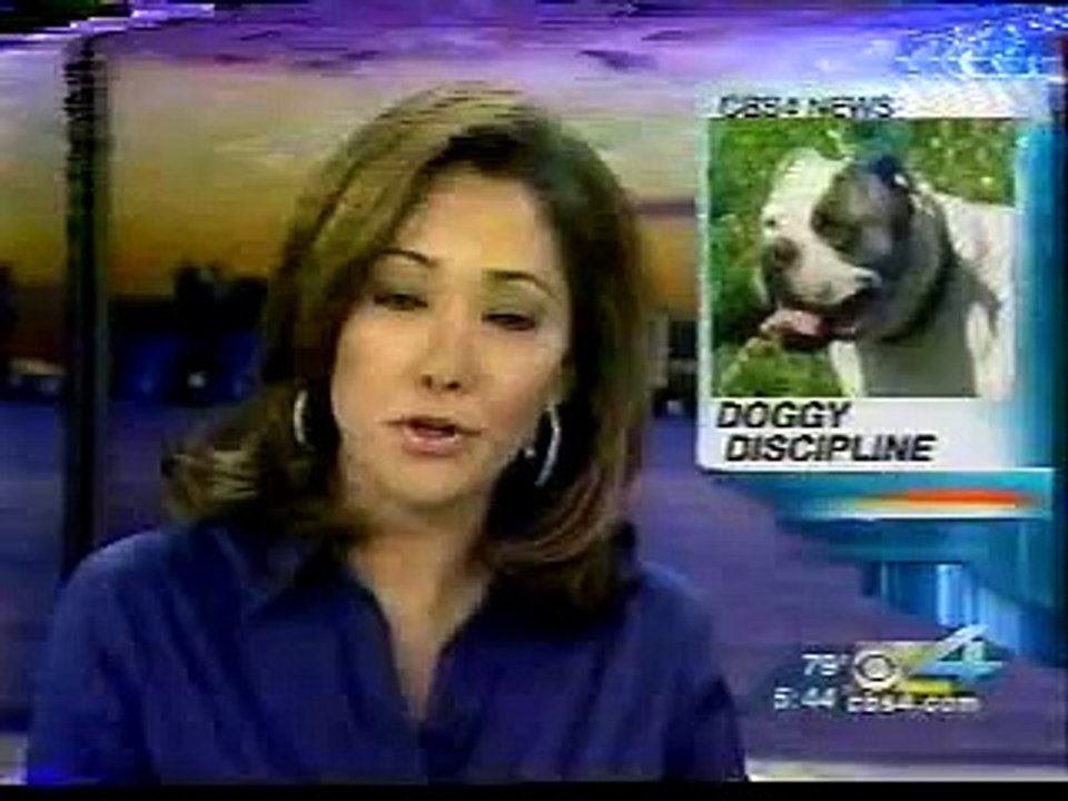 How to get your dog to "COME" every time with the Miami Dog Whisperer