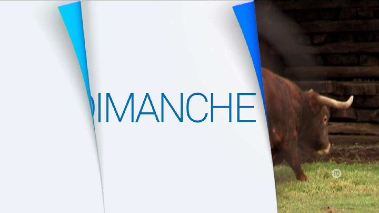 Bande annonce de l'émission Signes du Toro du  17 mai 2015