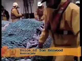 All The Greedy (Fishermen)