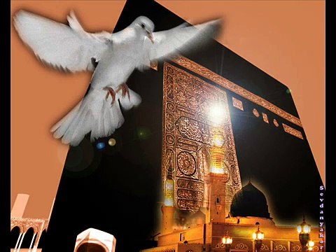 A.Kadir Şahin - Ya Rasulallah