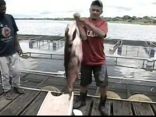 Maior Carpa de Brasilia