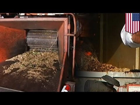 Woodchipper accident: man killed after falling into industrial wood chipper in Florida