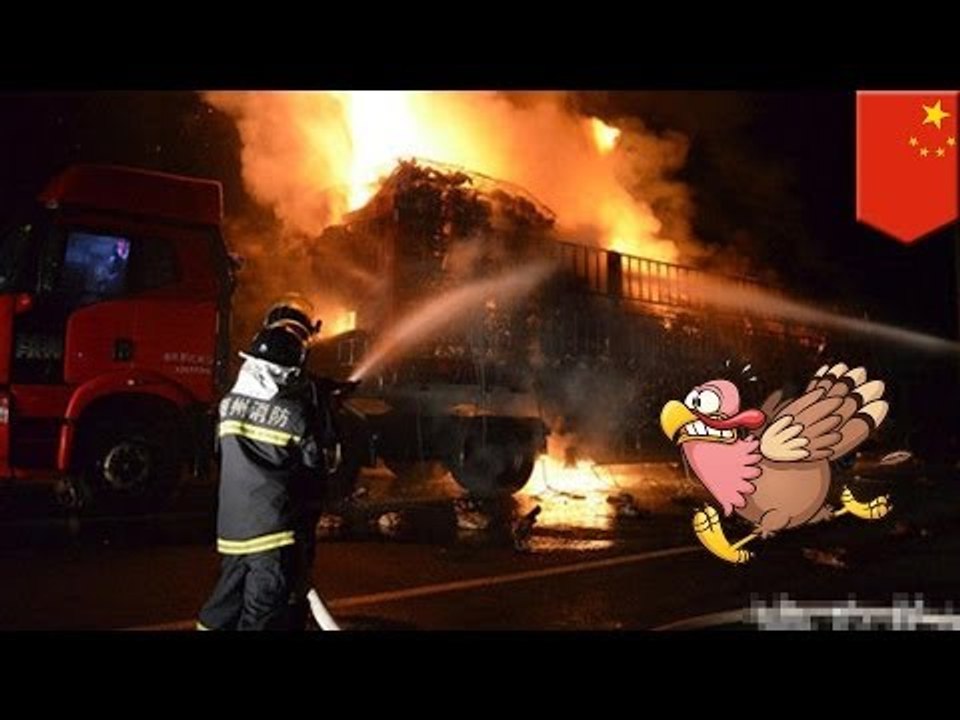 Chickens burned alive: 9,000 birds roasted in delicious poultry truck fire