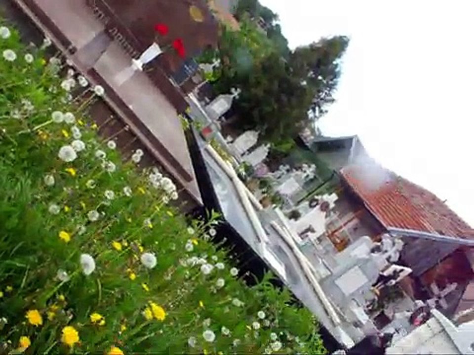 DSCF1243
