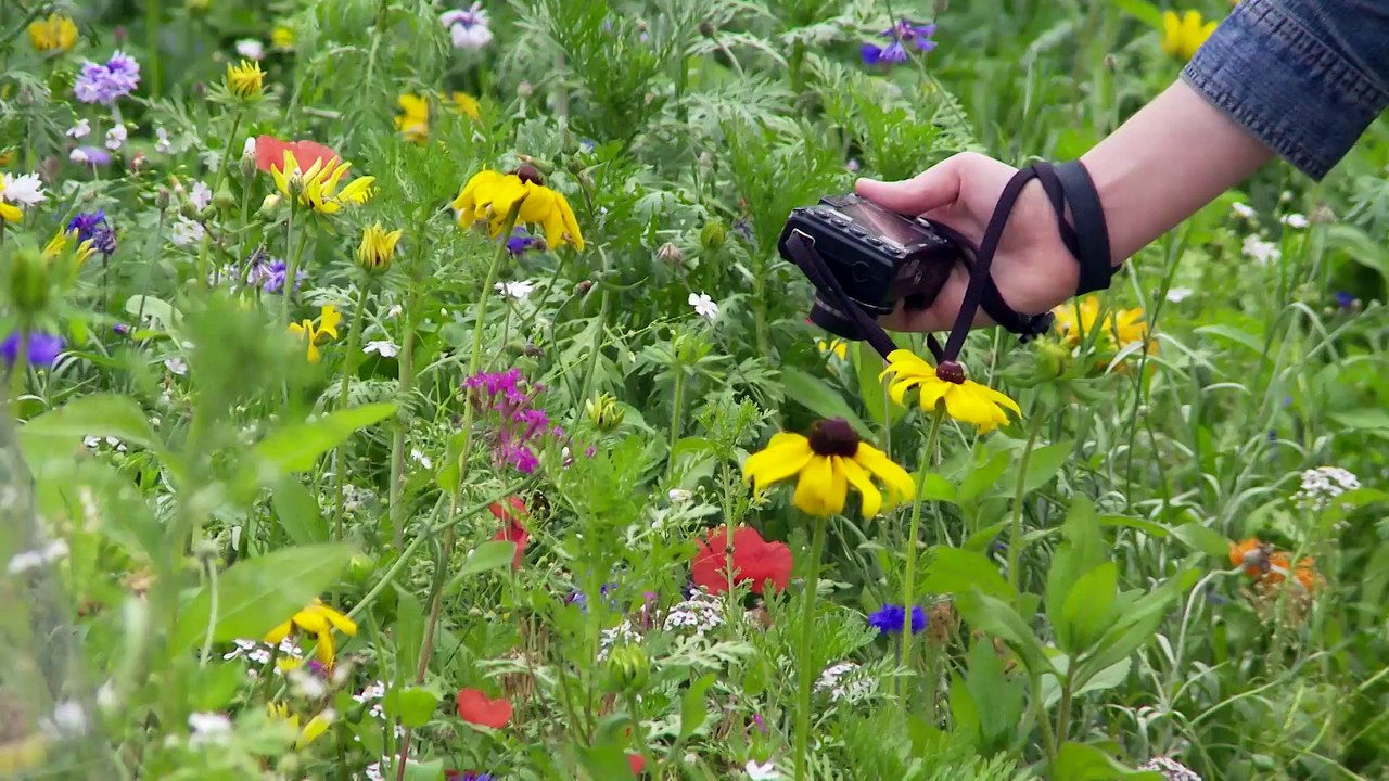 Jardin éphémère Nancy 2012