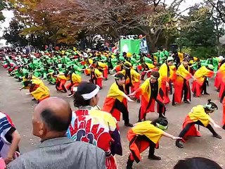 Japanese Soran Bushi Dance. ソーラン節。