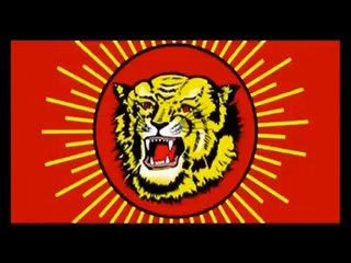 Promo Video 2 | Naam Tamilar Trichy Manadu  | 12 May 2015