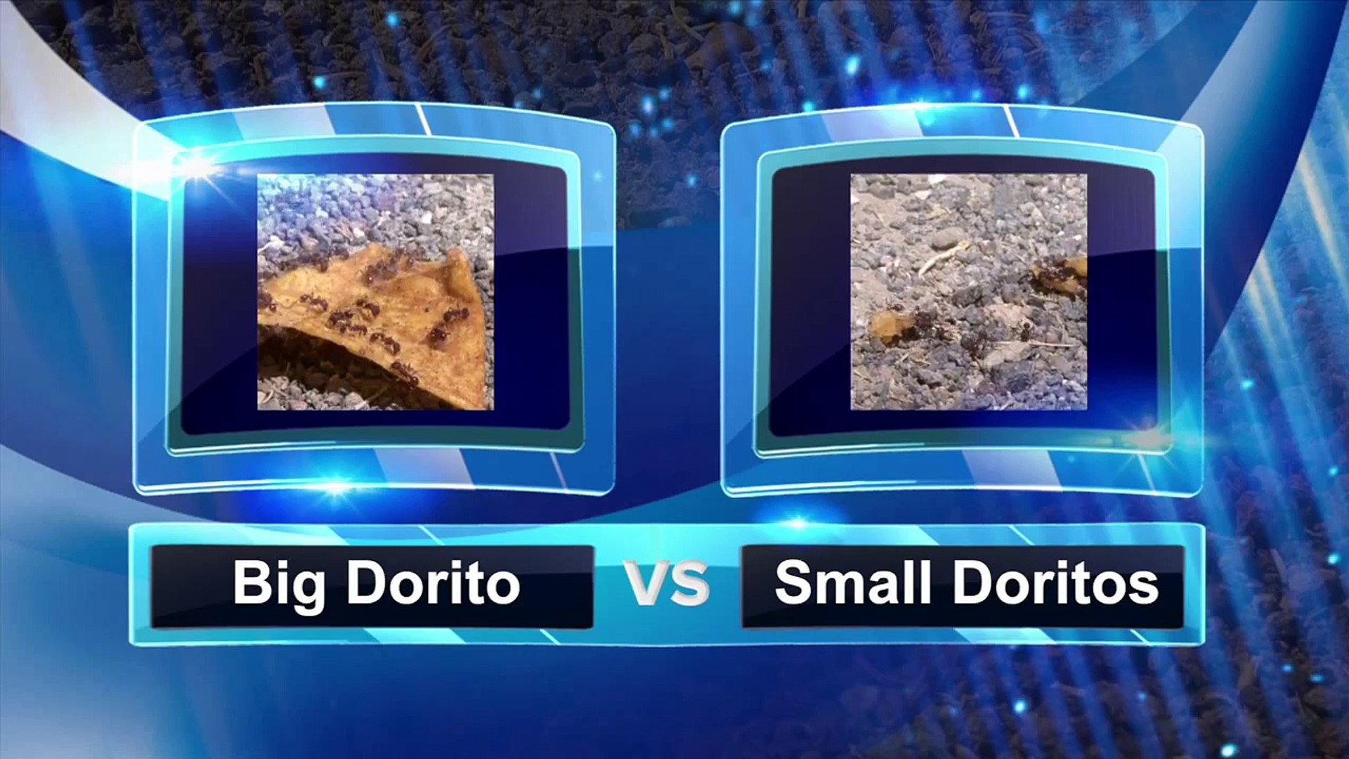 Ants vs Doritos