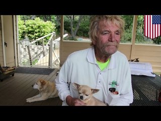 Couilles d'acier : Un homme de 73 ans frappe un ours de 150 kg pour protéger son chihuahua