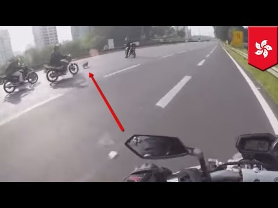Un chien errant cause un accident sur une autoroute de Hong-Kong