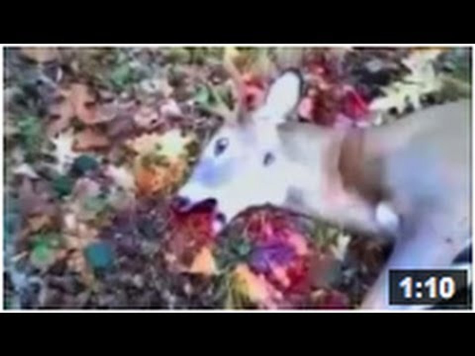 Un chasseur sachant chasser chasse sans son chien