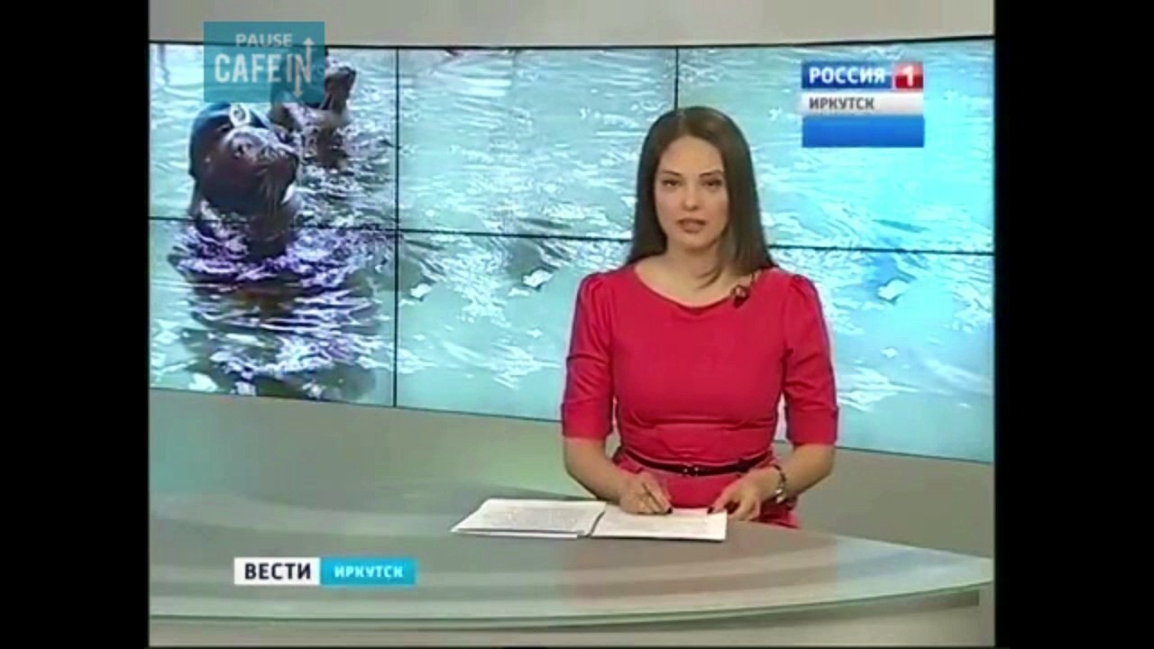 Des petits nouveaux dans les rangs de l'armée russe