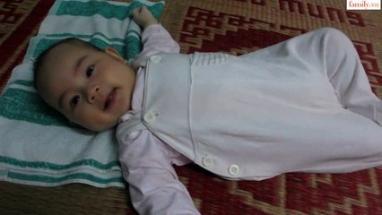 Vlog 93 Em Ngựa Về Quê