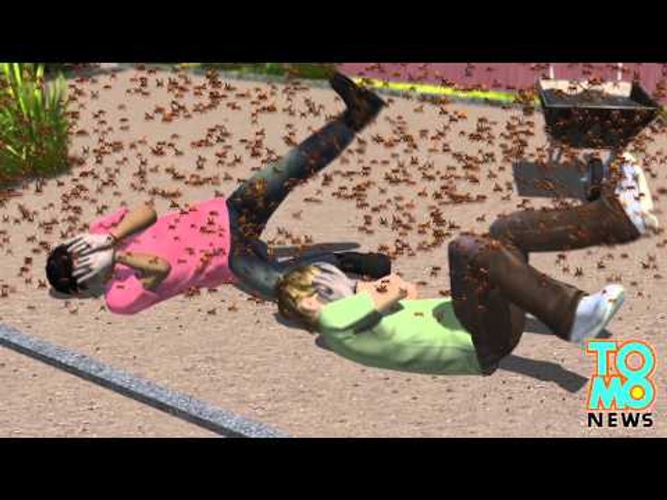 300,000 pszczół atakuje. Jedna osoba nie żyje.
