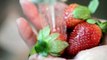 Velata Recipe of the Month—March 2013 Cheesecake-Stuffed Strawberries