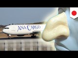 All Nippon Airways (ANA), tinanggal ang bago nilang 'racist ad'
