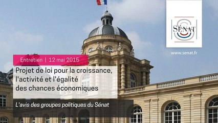[Entretien] Loi Macron : l'avis des groupes politiques du Sénat