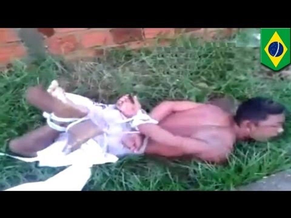 В Бразилии пойманного вора связали и положили в муравейник