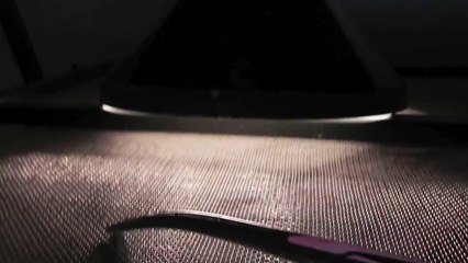 feeding boa constrictor